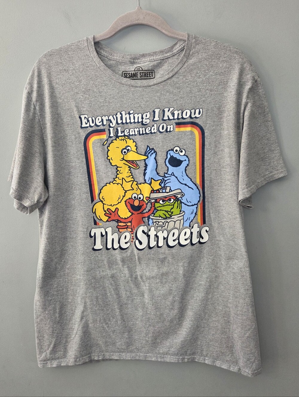 Sesame Street Gray Shirt Everything I Need To Know I Learned On The Street Large